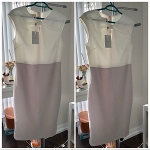 NWT - Ted Baker dress Size M